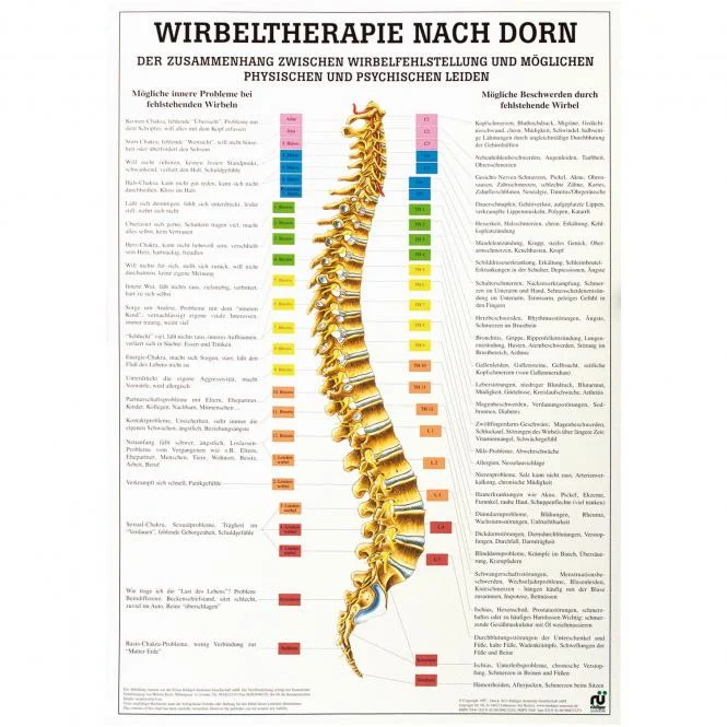 doccheckshop20260710180118651326