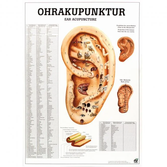 doccheckshop20260710180124651353