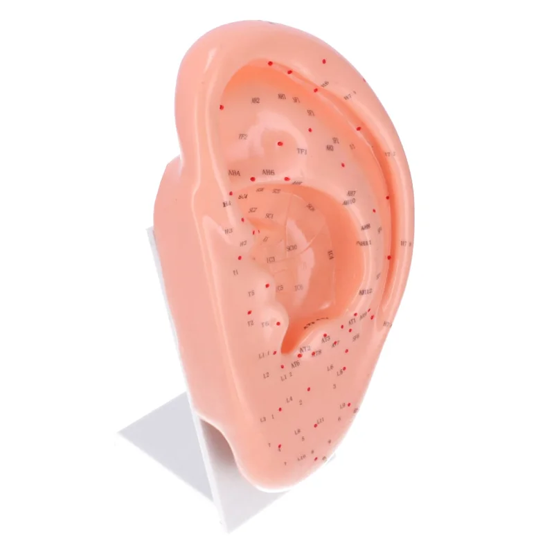 doccheckshop20260710180811652909