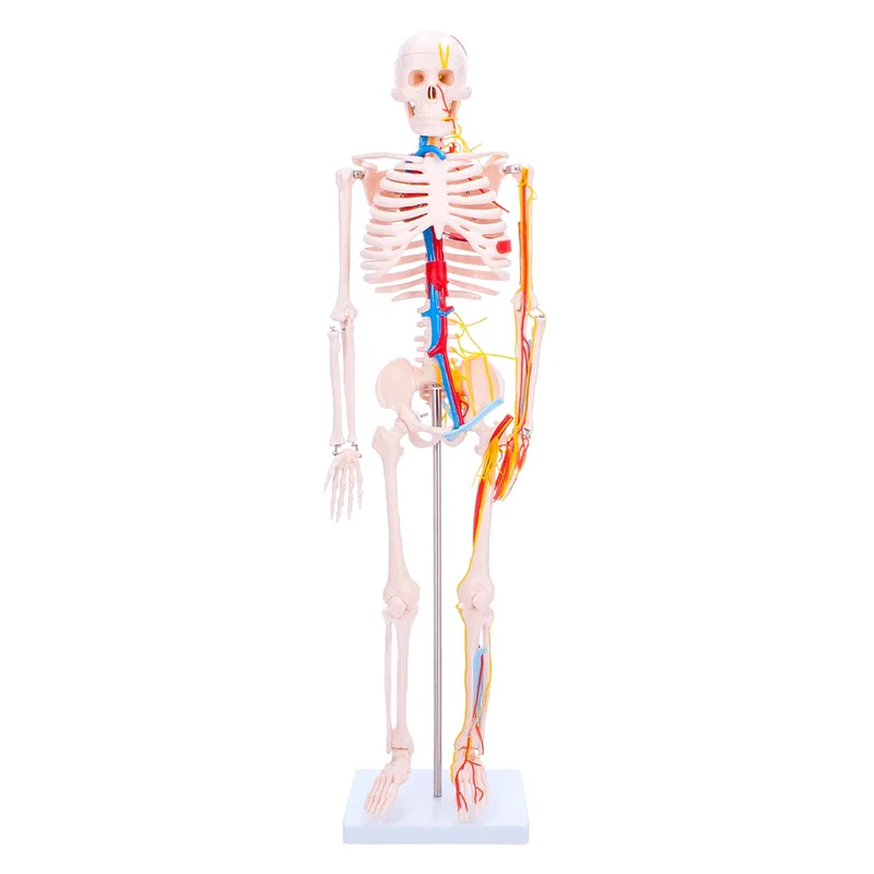 doccheckshop20260710180844653033