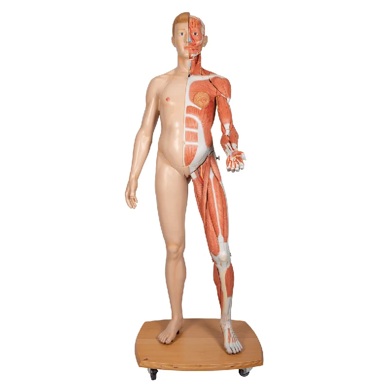 doccheckshop20260710181040653483