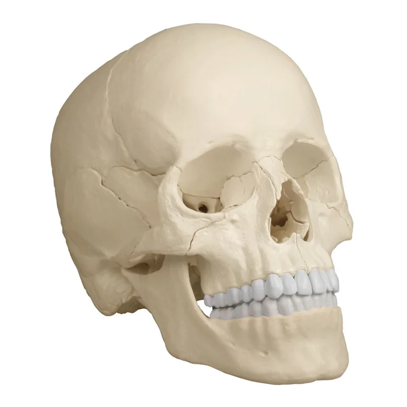 doccheckshop20260710181406654248