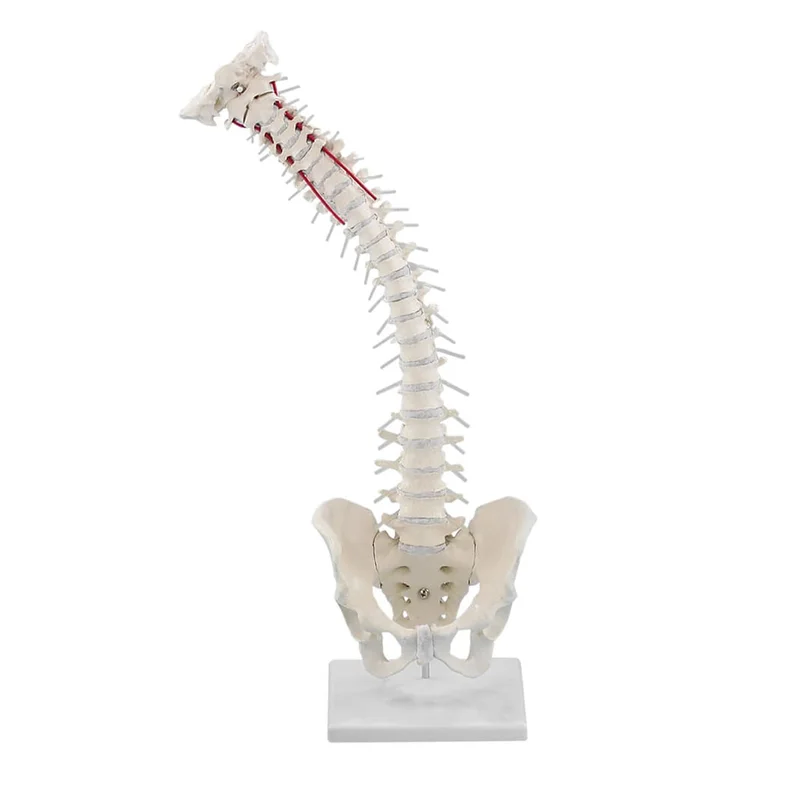 doccheckshop20260710181439654365