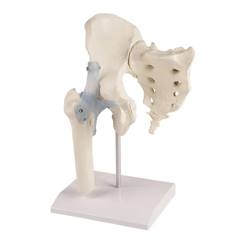 doccheckshop20260710181448654395