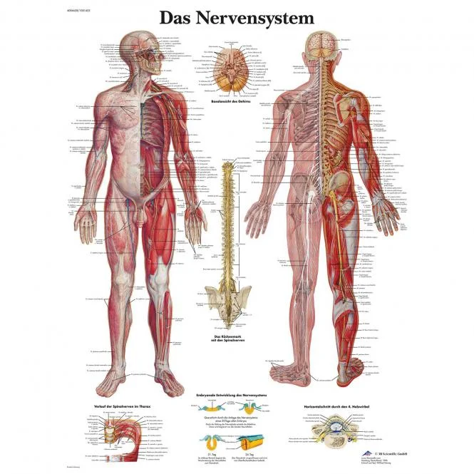 doccheckshop20260710181754655123