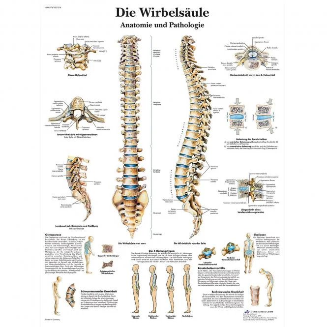 doccheckshop20260710181803655154