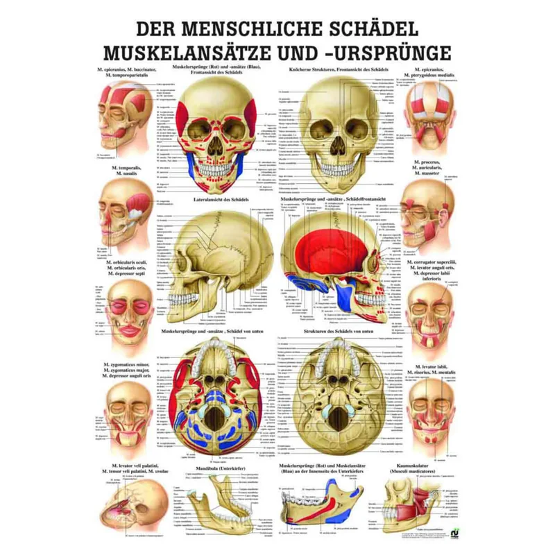 doccheckshop20260710181821655225