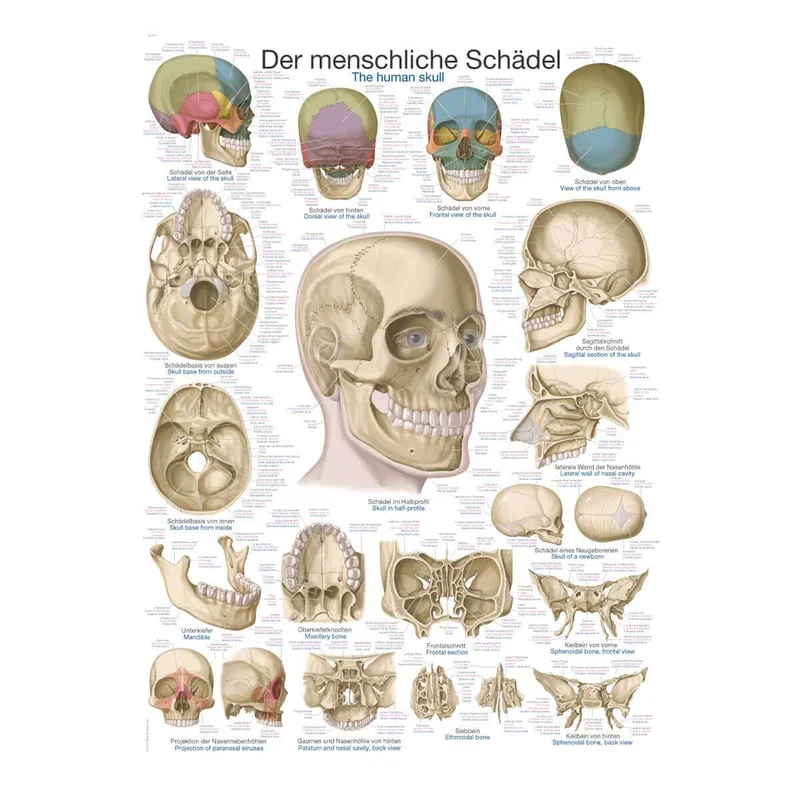 doccheckshop20260710182948657854