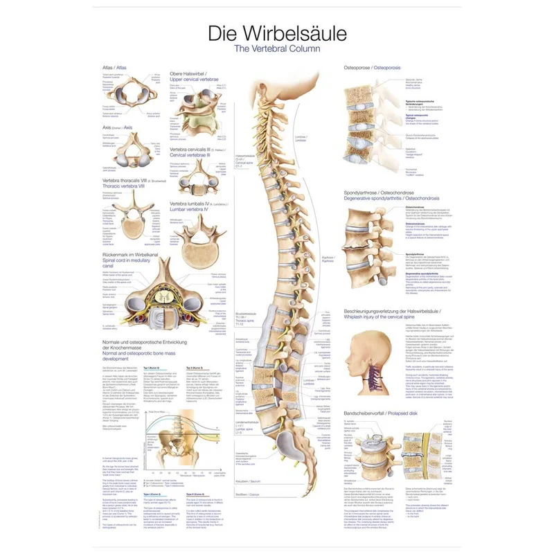 doccheckshop20260710182954657876