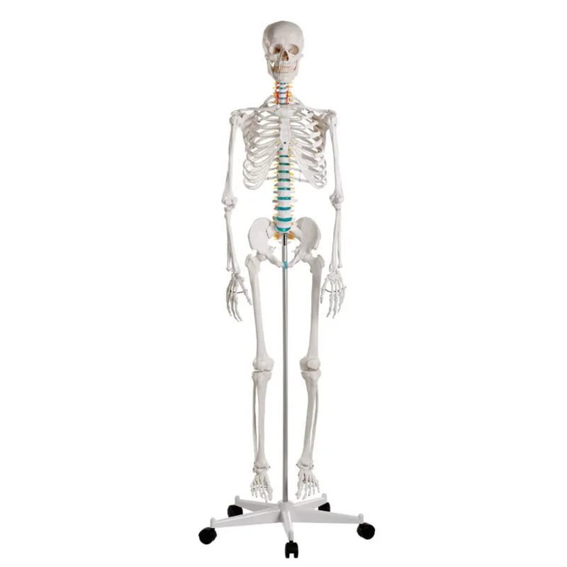 doccheckshop20260710183258658618