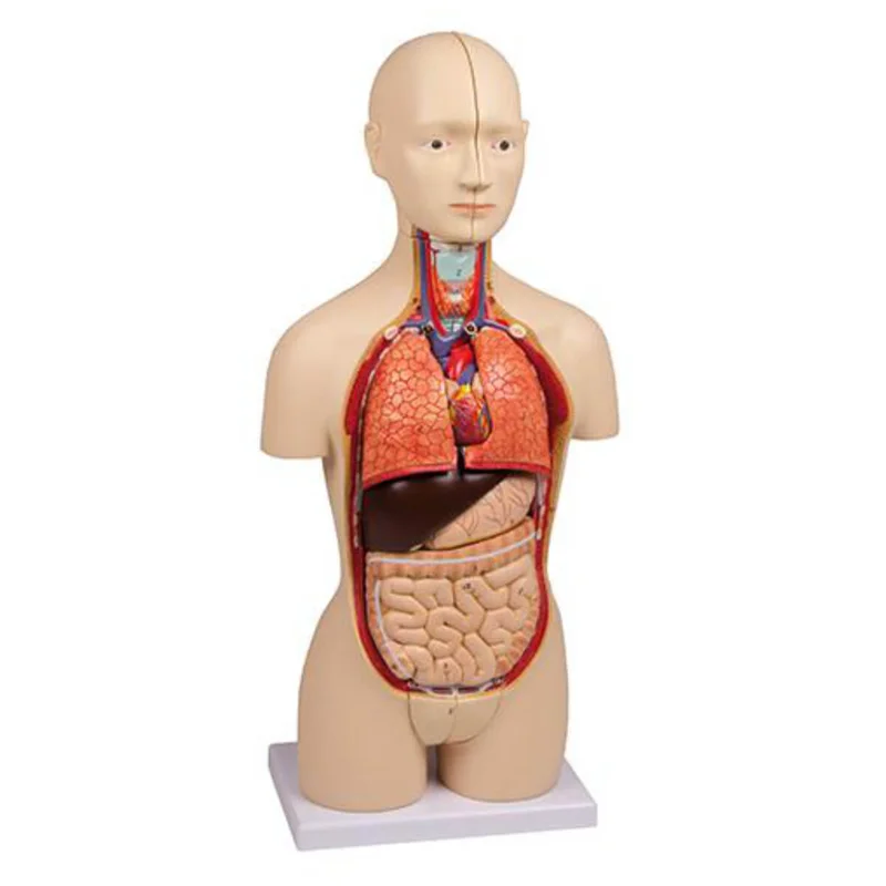 doccheckshop20260710185154663237