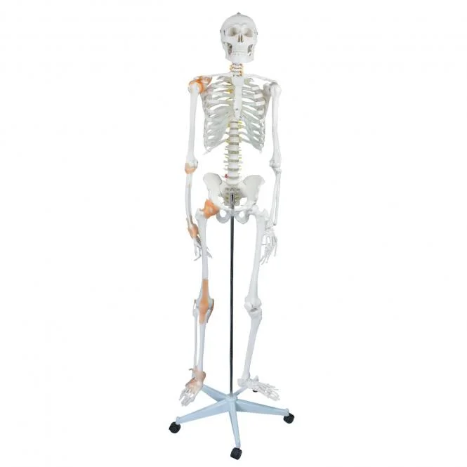 doccheckshop20260710193331671911