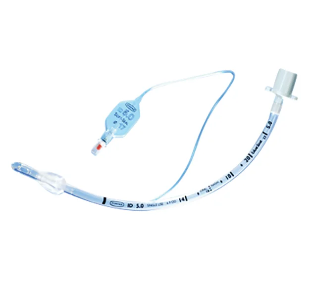 healthcare2420260710232154712450