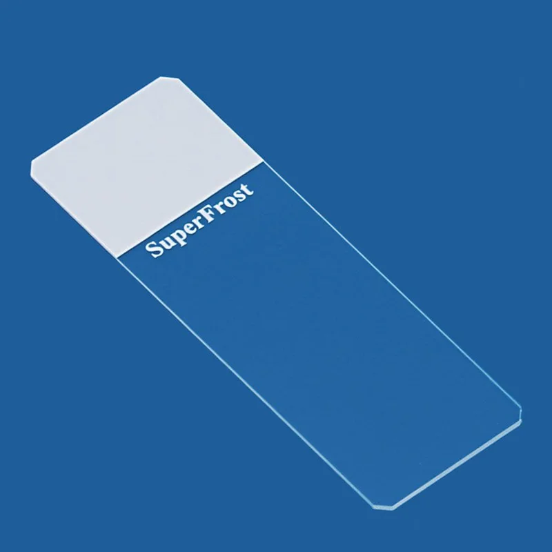 hygiene10020260711070758782540