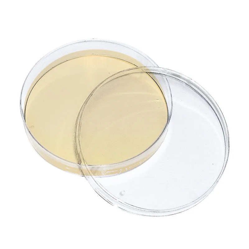 hygiene10020260711081438790387